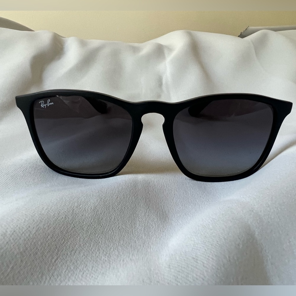 Ray Ban Erika Sunglasses
